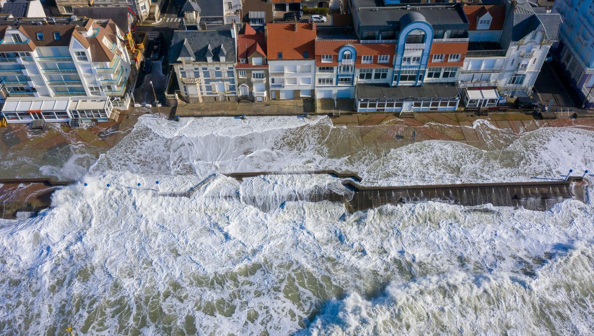 L’année 2025 commence dans un climat d’inquiétude généralisée face à l’état actuel de la société. Bien que personne ne puisse s’accorder sur les causes exactes, une chose est certaine : quelque chose ne va pas du tout.