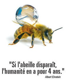 Une crise écologique en France : la leçon des abeilles